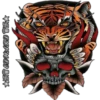 Tigre 27