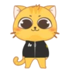 åȽקȟå ķȋțțÿ 🐱 Mov 16