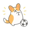️Football Corgi MOV. 21