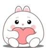 🐰🥕Chonky Rabbit MOV.💖🐇 21