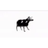 Meme pack 29
