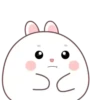 🐰🥕Chonky Rabbit MOV.💖🐇 22