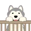 🐕🐱🦮PetS🐈🐻🐩 29