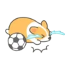 ️Football Corgi MOV. 24