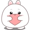 🐰🥕Chonky Rabbit MOV.💖🐇 23