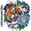 Tigre 29