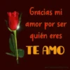 San valentin mov 12