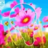 Primavera🏵️🔫1🇲🇽Movi 9