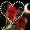 San valentin mov 14