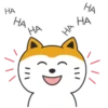 ThReE CaTs (Mov) 6