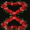 San valentin mov 15