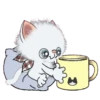 ️ Pop and energetic! fluffy cats Mov 14