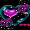 San valentin mov 17