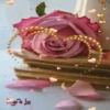 San valentin mov 18