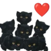 Animalitos ‍ 1 Movi 15