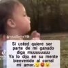 Actitud ️ 15
