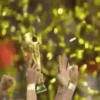 FIFA World Cup mov 20