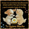 San valentin mov 22