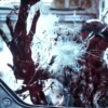 Alien: Covenant 19