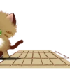 ️ Pop and energetic! fluffy cats Mov 21