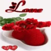 San valentin mov 23