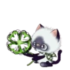 ️ Pop and energetic! fluffy cats Mov 23