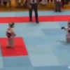 लड़ता है 2 29