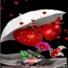 San valentin mov 26