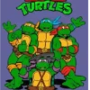 Teenage Mutant Ninja Turtles 1 Movi 5