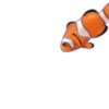Peces🐠🔫2🇲🇽Movi 5