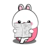 Vanilla rabbit 3 MOV 5