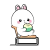 Vanilla rabbit 3 MOV 6