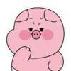 Baby cute pig 7