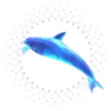 Delfines Movi 7