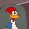 ️PAJARO LOCO ️ 6