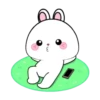 Vanilla rabbit 3 MOV 8