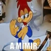 AM R A MIMIR
