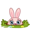 Mia Bunny 8
