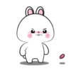 Vanilla rabbit 4 MOV 5