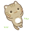 Three cats popupsticker Mov 8