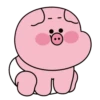 Baby cute pig 8