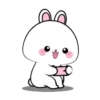 Vanilla Rabbit 4 MOV. 9