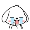 Lovely White Dog 2 .MOV 10