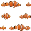 Peces🐠🔫2🇲🇽Movi 11
