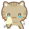 Three cats popupsticker Mov 10