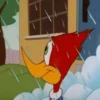 ️PAJARO LOCO ️ 12