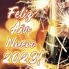 Felices fiestas 2023 Año nuevo 13