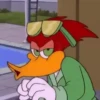 ️PAJARO LOCO ️ 13