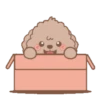 Brown Puppy .MOV 9
