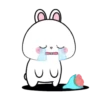 Vanilla Rabbit 4 MOV. 11